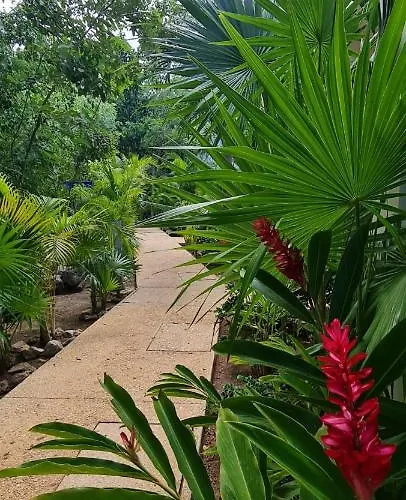 Aparthotel Magic Jungle Views Plus Rooftop Whit Jacuzzi In Lagunas De Mayakoba Playa del Carmen